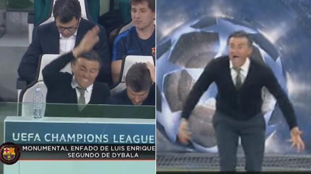 免费视频国产