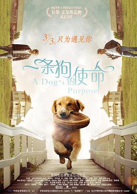 overflow在线看