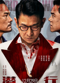 在线不卡的av